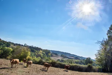 Durant l'année 2020, la température moyenne en Corrèze a augmenté de 1,5°C