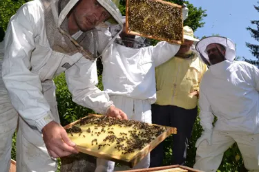 Un rucher école sur le site de l’usine Rivolet permet d’échanger les techniques et les savoirs