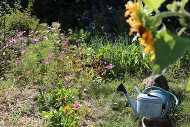 Sept jardins cultivés "au naturel" à découvrir ce week-end en Creuse
