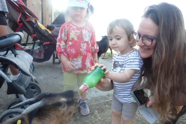 Le Relais accueil petite enfance en visite dans une ferme