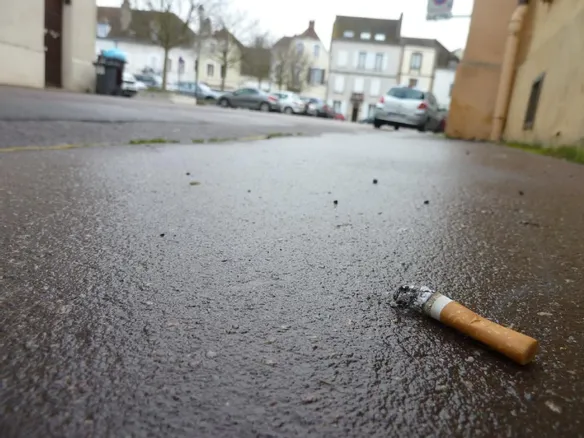 La Ville de Chartres cible les fumeurs et lance une campagne antimgots -  L'cho Rpublicain