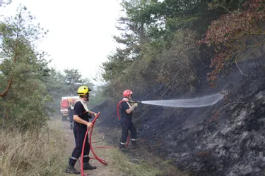 Un feu parcourt 800 mètres carrés de végétation à Veyre-Monton (Puy-de-Dôme)