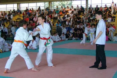 Plus de 200 judokas sur les tatamis