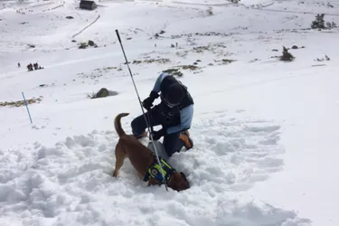 Démonstration du maître-chien pour les victimes d’avalanche à Prat-de-Bouc
