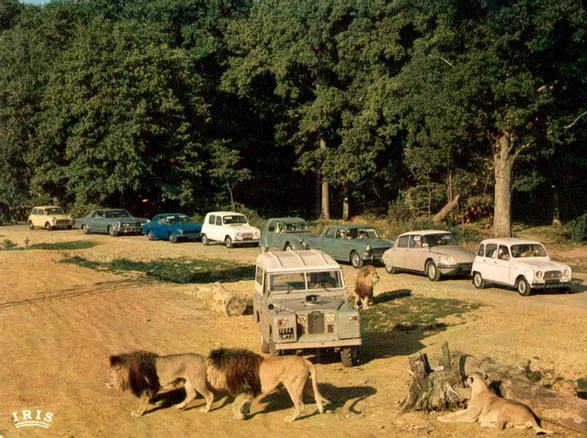 Safari de PEAUGRES - Groupe Thoiry-Parc animalier Rhone Alpes