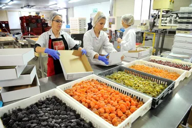 Trophées des entreprises du Puy-de-Dôme : Cruzilles, des sucreries de Clermont-Ferrand au Japon
