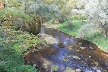 "Depuis qu'il fait ces saisons, ça se dégrade" : les rivières de l'Agglo d'Issoire en manque d'eau