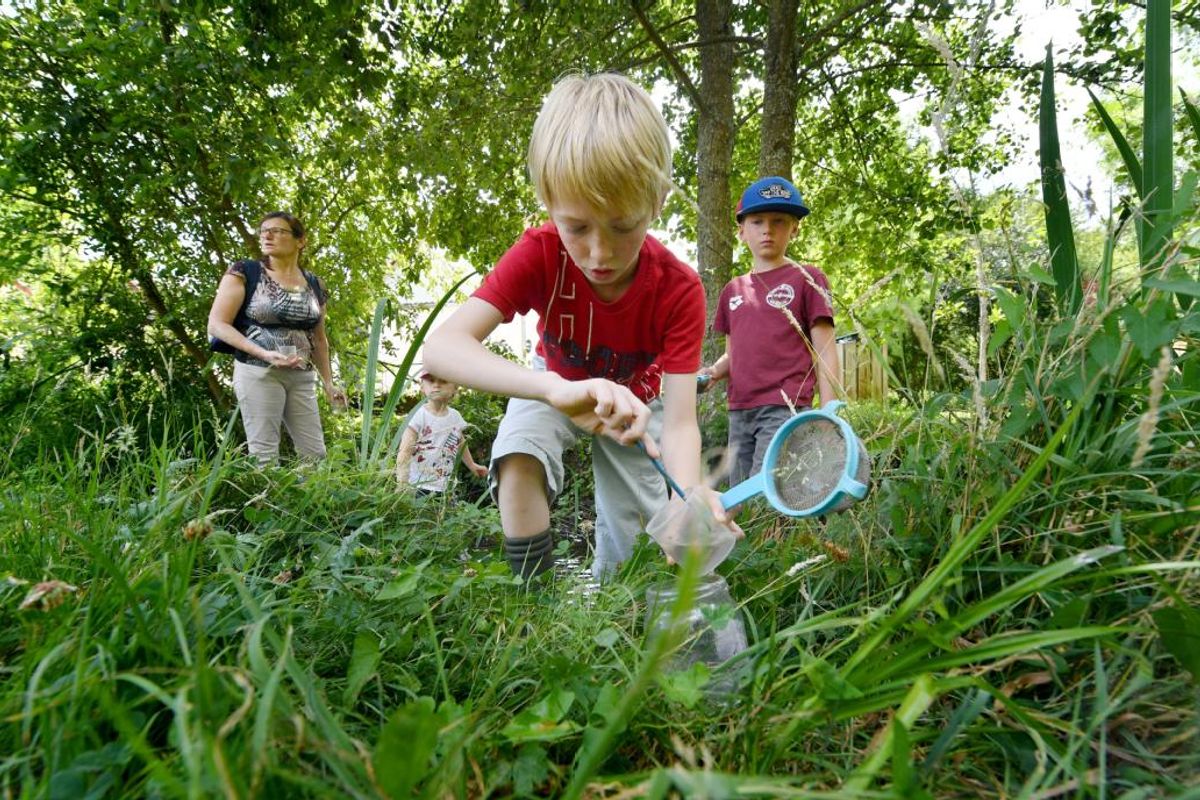 Des animations pour petits et grands à la maison de l’Eau de Neuvy-sur ...