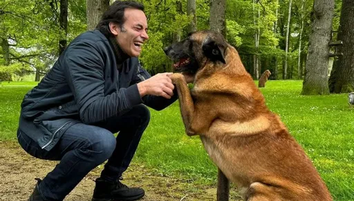 Non, Loubo, le chien d'Alain Delon, ne sera pas euthanasié - La Montagne