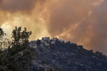 Plus de 40 morts dans les incendies qui ravagent la Kabylie