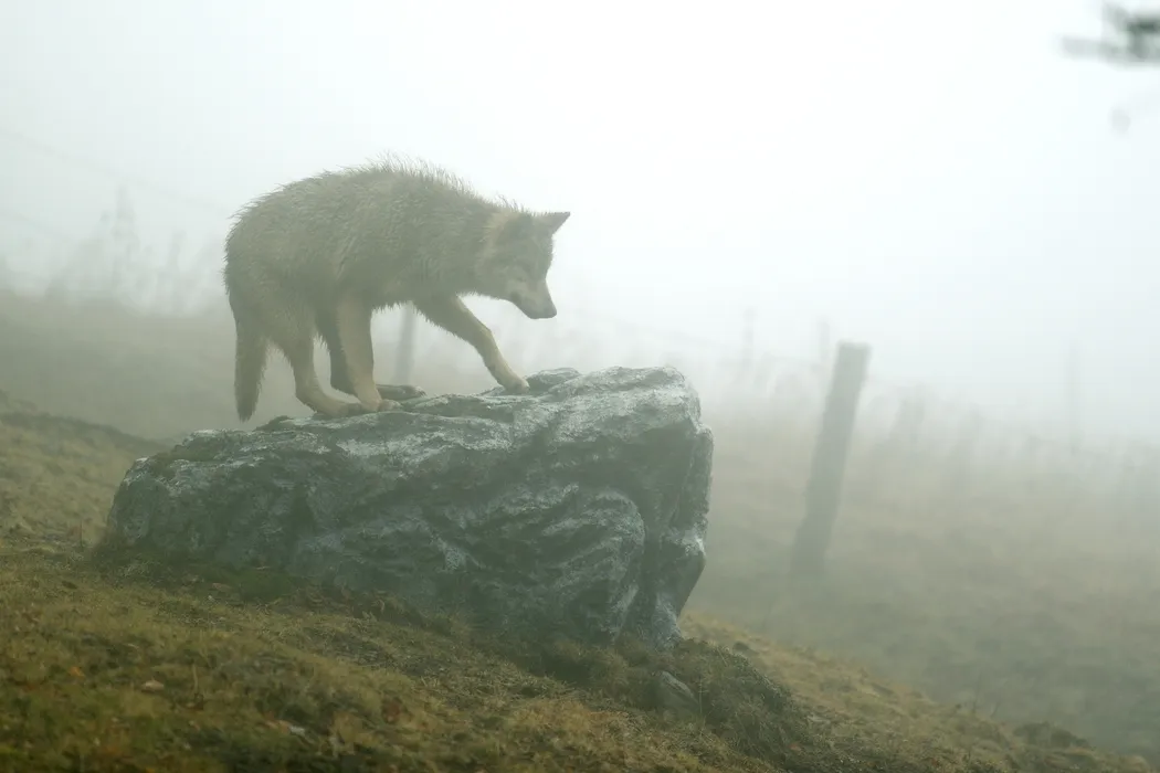 Nos cinq coups de cœur de ce vendredi 26 juillet dans le Cantal - La ...