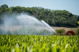 Agriculture : "Sur le stockage de l'eau, il faudrait enfin passer aux actes car nous avons perdu beaucoup de temps"