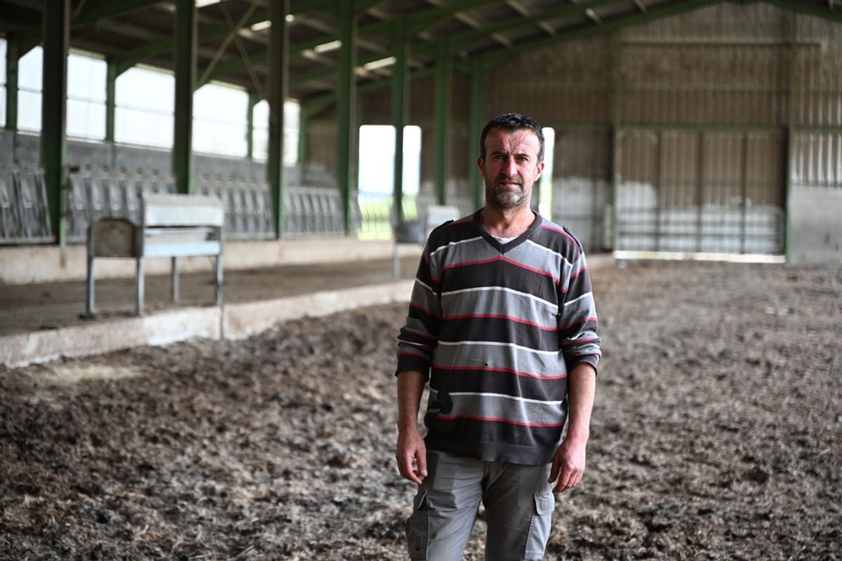 « À un an, mes génisses ne faisaient pas 100 kg » : ces exploitations agricoles sous de mauvaises ondes