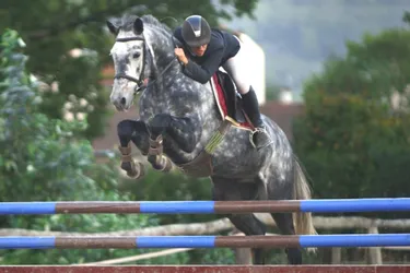 Equitation : 500 cavaliers au CSO d'Aurillac ce week-end