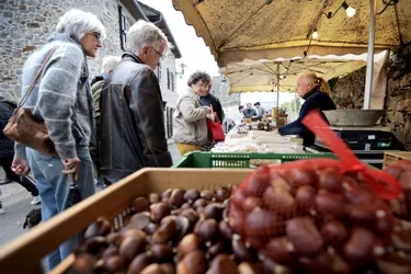 Pas de Foire à la châtaigne cette année, mais un marché le dimanche à Mourjou
