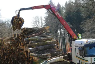 « On tourne à 30 % de chiffre d’affaires », résume un entrepreneur de la filière bois du Limousin