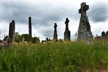 Inhumation ou crémation : quelles sont les funérailles les plus écolo ?