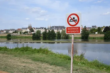 Pourquoi la baignade dans l'Allier à Moulins est dangereuse et interdite ?