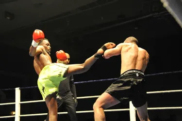Réunion multi-boxe au C-Fight VIII de Cusset : les clés pour comprendre les différents styles