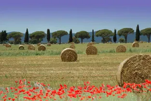 La Toscane, campagnes et jardins