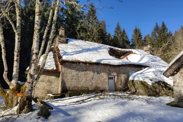 Le toit de chaume d'une maison réhabilitée sur le site historique de Clédat (Corrèze) sinistré par la neige