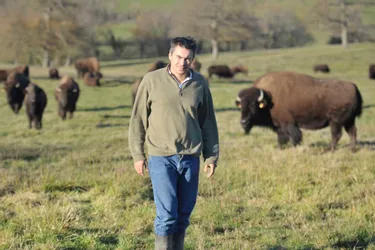 Viande et charcuterie certifiées bio pour passer Noël au bison
