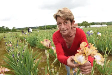 Depuis plus de quarante ans, elle collectionne près de 1.400 espèces d’iris