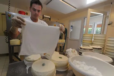 Retour en détail sur les secrets de fabrication de l’incontournable fromage auvergnat