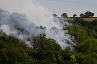 Un nouvel incendie frappe la forêt située face aux côtes de Chatelard, à la sortie de Montluçon