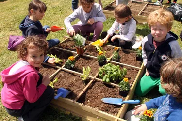 L’école de Goulles poursuit son projet jardin