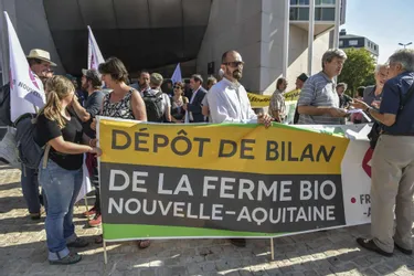 Les agriculteurs bio de Nouvelle-Aquitaine à Limoges pour réclamer leurs aides