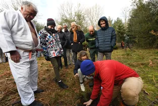 En Creuse, les judokas plantent des arbres dans l'arboretum de Chabrières