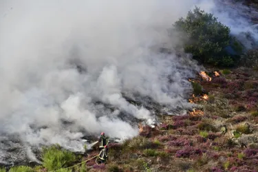 À Montluçon (Allier), des mesures mises en place pour prévenir les incendies de zones naturelles