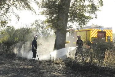 Allier : dix hectares de végétation ont brûlé à Saint-Sauvier