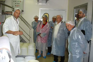 La sous-préfète a visité une installation de fabrication fromagère