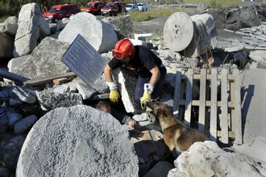 Des chiens qui sauvent des vies dans le Puy-de-Dôme