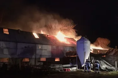 Cantal : des salers sauvées d'un bâtiment ravagé par un incendie à Polminhac