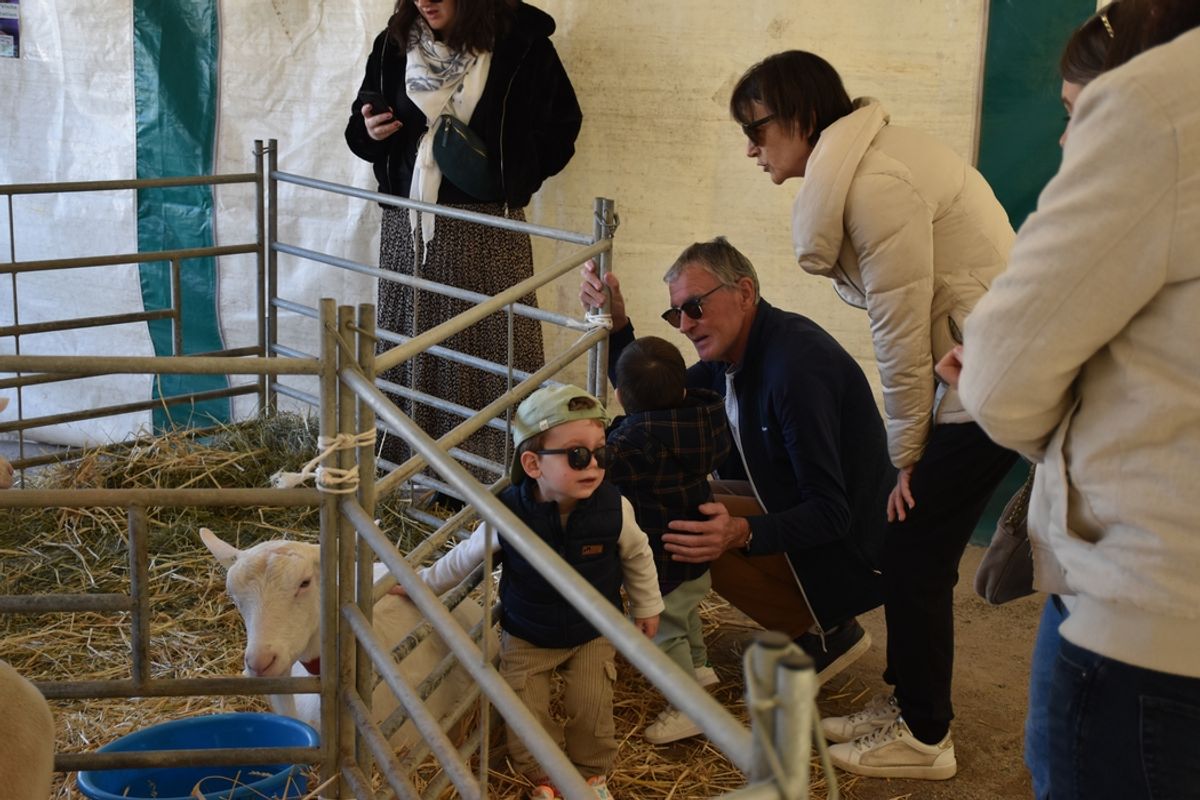 Des nouveautés pour la Ferme s’invite en ville sur la place du Breuil au Puy-en-Velay