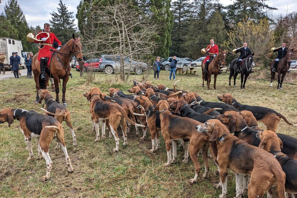 CPA Ancienne – Chasse à Courre En Forêt D'Orléans, Saint-Hubert, Original