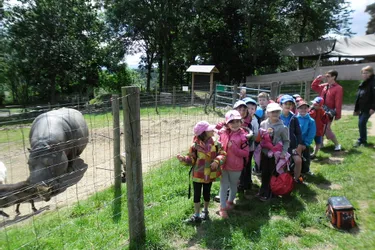 Les élèves de La Présentation ont passé une journée au parc animalier d’Ardes-sur-Couze
