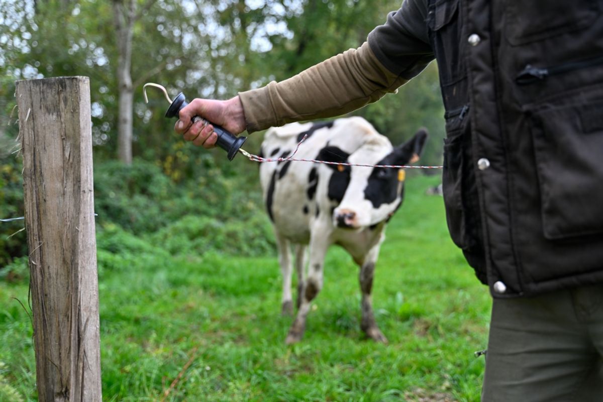 Les appels à l’aide des agriculteurs ont bondi de 37 % en Auvergne