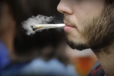 Cannabis : des fumeurs plus jeunes, mais aussi plus nombreux