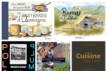Saveurs, culture et initiatives : cinq beaux livres sur l'Auvergne à découvrir