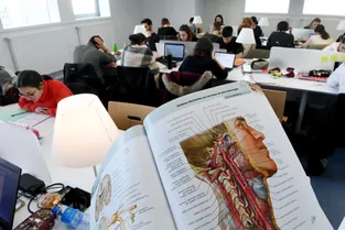 Université Clermont Auvergne : tutorat et parrainage pour accompagner les étudiants en médecine vers la réussite