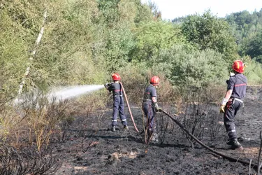Près de deux hectares ravagés par les flammes au domaine de Laval