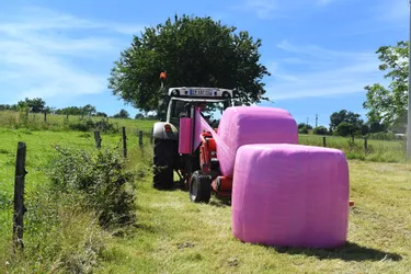 Des agriculteurs du Cantal osent l'enrubannage en rose pour soutenir la recherche contre le cancer du sein