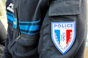 Il avait copieusement insulté un policier municipal à Vichy (Allier) : prison ferme pour le sexagénaire