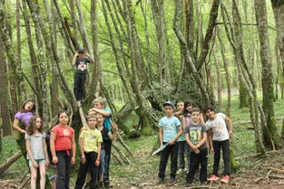 Séjour nature en forêt de Grosbois