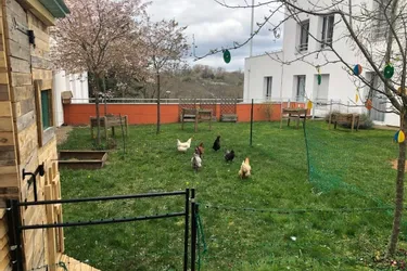 Six poules ont récemment rejoint le nouveau poulailler de l’Ehpad