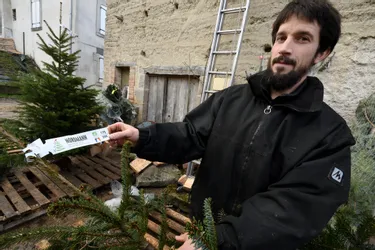 L'Aiguille bio, des sapins de Noël "biologiques" cultivés à Escoutoux (Puy-de-Dôme)